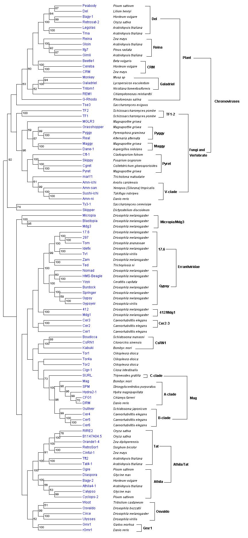 GAGPOL ty3 gypsy.png