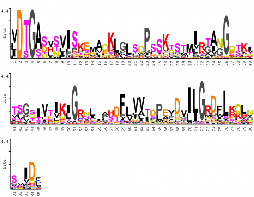 Logo dtg ilg template.png